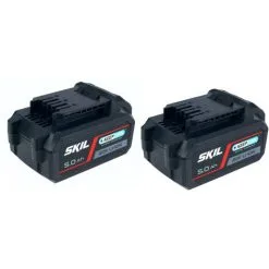 SKIL 20V Max (18 V) 5,0 Ah Keep Cool Lithium-Ionen-Batterie (2x)